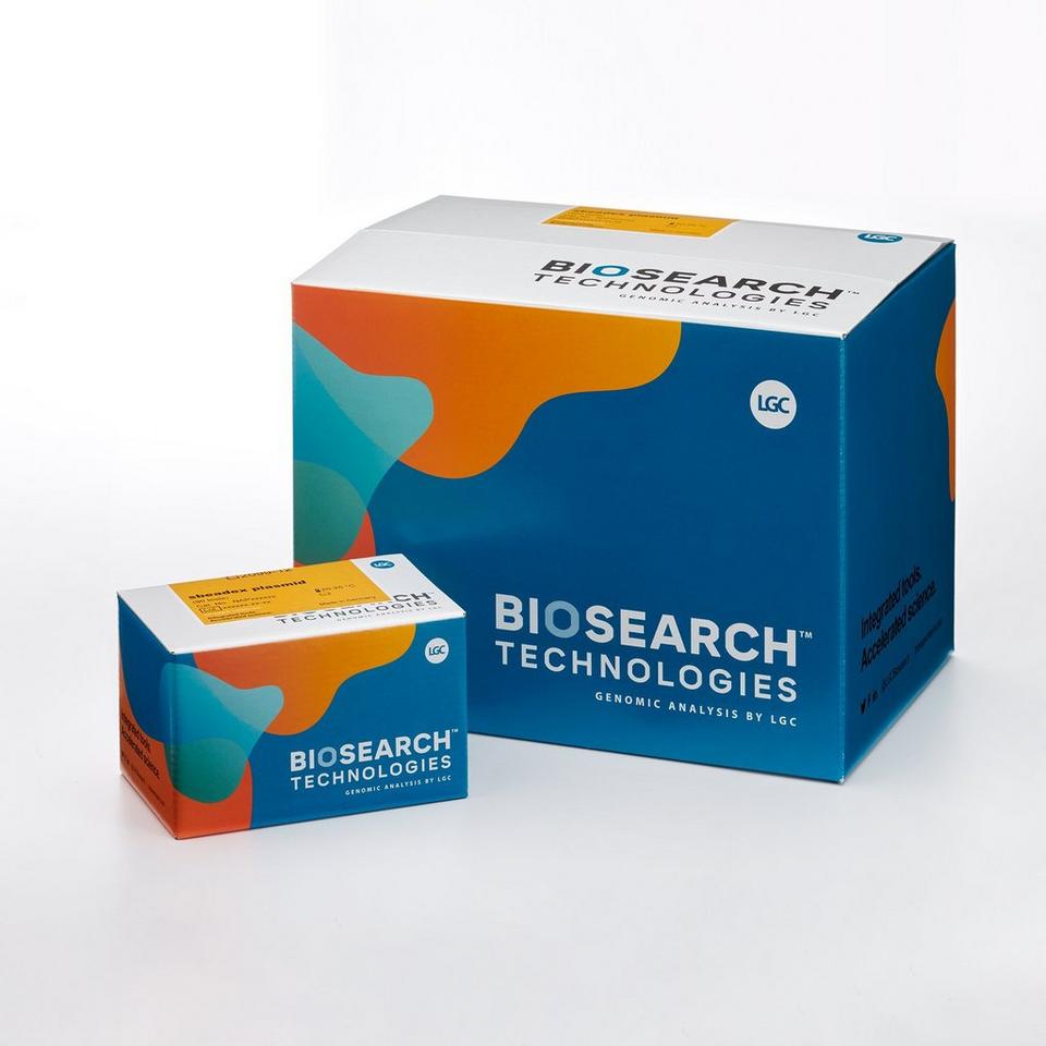 sbeadex plasmid kit